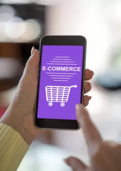 e ticaret danışmanı