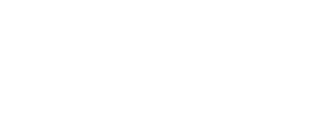 E-CEO